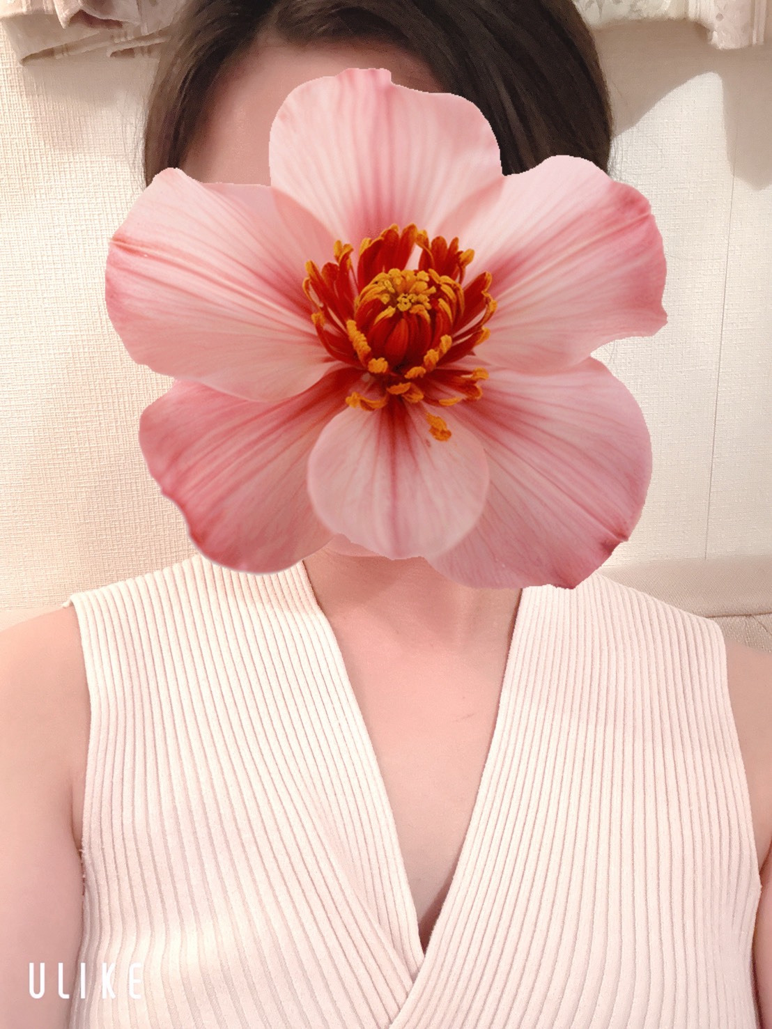 美川　ひなの